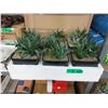 Image 1 : 5 Cases of 6 New 7" Artificial Plants