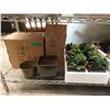 Image 1 : Artificial Plants, Glazed Plant Pots & More
