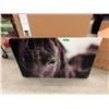 Image 1 : New Large Acrylic Wall Art - 37" x 41"
