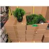 Image 1 : Case of 48 New 8" Artificial Plants