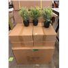 Image 1 : Case of 48 New 12" Artificial Plants