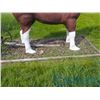 Image 4 : Life Size Draft Horse