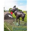 Image 3 : Life Size Bucking Horse