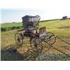 Image 2 : Horse Drawn Doctor's Buggy