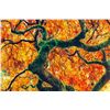 Image 4 : Peter Lik, Infinity Tree, Color Photograph