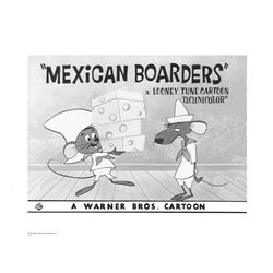 Warner Brothers Hologram Mexican Boarders