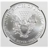 Image 2 : 2019 AMERICAN SILVER EAGLE