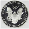 Image 2 : 2000-P AMERICAN SILVER EAGLE