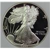 Image 1 : 1993-P AMERICAN SILVER EAGLE