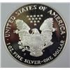 Image 2 : 1993-P AMERICAN SILVER EAGLE