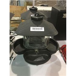 First Nature Clear Lantern Seed Selector