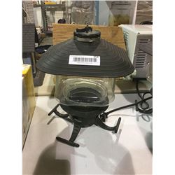 First Nature Clear Lantern Seed Selector