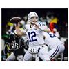 Image 1 : Andrew Luck Signed Colts "12" 16x20 Limited Edition Photo (Panini COA)