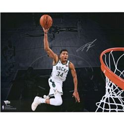 Giannis Antetokounmpo Signed Milwaukee Bucks "Dunking Spotlight" 16x20 Photo (Fanatics Hologram)