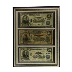 The Last Large-Size U.S. National Bank Notes in Book