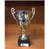 Image 1 : Silver and Brass Trophy with a Marble Base. 13.5 H x 8.5" w