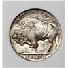 Image 2 : 1913 TYPE 2 BUFFALO NICKEL