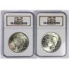 Image 1 : (2) 1924 PEACE SILVER DOLLARS