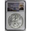 Image 3 : 2015 AMERICAN SILVER EAGLE