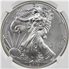 Image 1 : 2015 AMERICAN SILVER EAGLE