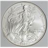Image 1 : 2007-W AMERICAN SILVER EAGLE