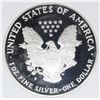 Image 2 : 1993 AMERICAN SILVER EAGLE