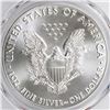 Image 2 : 2016 AMERICAN SILVER EAGLE