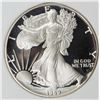 Image 1 : 1989-S AMERICAN SILVER EAGLE