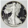 Image 1 : 1988 AMERICAN SILVER EAGLE