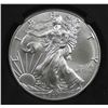 Image 1 : 2017 AMERICAN SILVER EAGLE