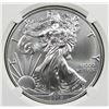 Image 1 : 2019 AMERICAN SILVER EAGLE