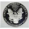 Image 2 : 2001 AMERICAN SILVER EAGLE