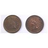 Image 1 : 1880 AND 1895 INDIAN CENTS