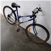 Image 3 : SKY LINE 12 SPEED BIKE