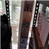 Image 2 : RETRACTABLE SCREEN LINE RETRACTABLE SCREEN DOOR