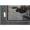 Image 6 : 2 FRAMED PICTURES