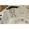 Image 12 : ACRYLIC SPA BENCH VERSION 3 PUMPS HOT TUB