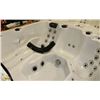 Image 13 : ACRYLIC SPA LOUNGER VERSION 3 PUMPS HOT TUB