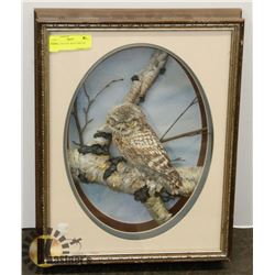 3D OWL PICTURE WITH 3 MATTS.