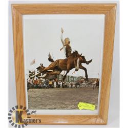 RODEO BAREBACK PICTURE