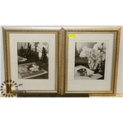 LOT OF TWO FRAMED BLACK AND WHITE SHOW HOME