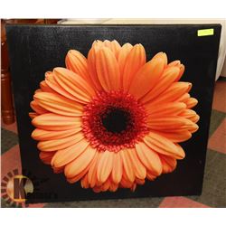 LARGE DAISY PRINT ON CANVAS 35 X 35