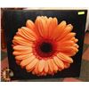 Image 1 : LARGE DAISY PRINT ON CANVAS 35 X 35