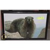Image 1 : FRAMED PICTURE OF A BEAVER.