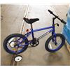 Image 1 : BLUE ADVENTURE 20" BIKE