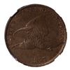 Image 1 : 1857 Flying Eagle 1C NGC AU55