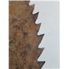 Image 2 : ROUND SAW BLADE (23") *1" TEETH*
