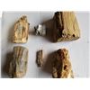 Image 1 : 6 PIECES PETRIFIED WOOD