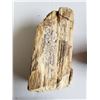 Image 3 : 6 PIECES PETRIFIED WOOD