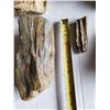 Image 4 : 6 PIECES PETRIFIED WOOD
